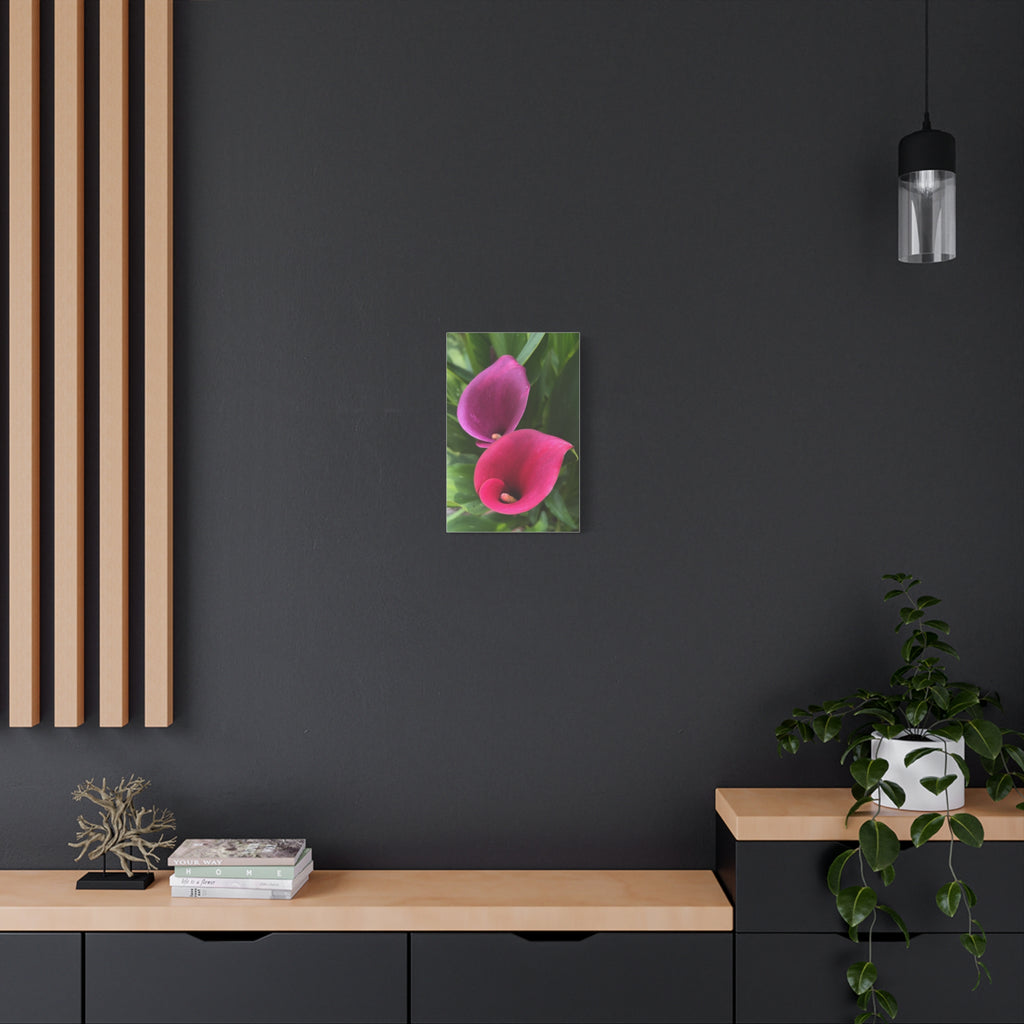 Two Pink Calla Lily Canvas Print — Matte Stretched Floral Wall Art