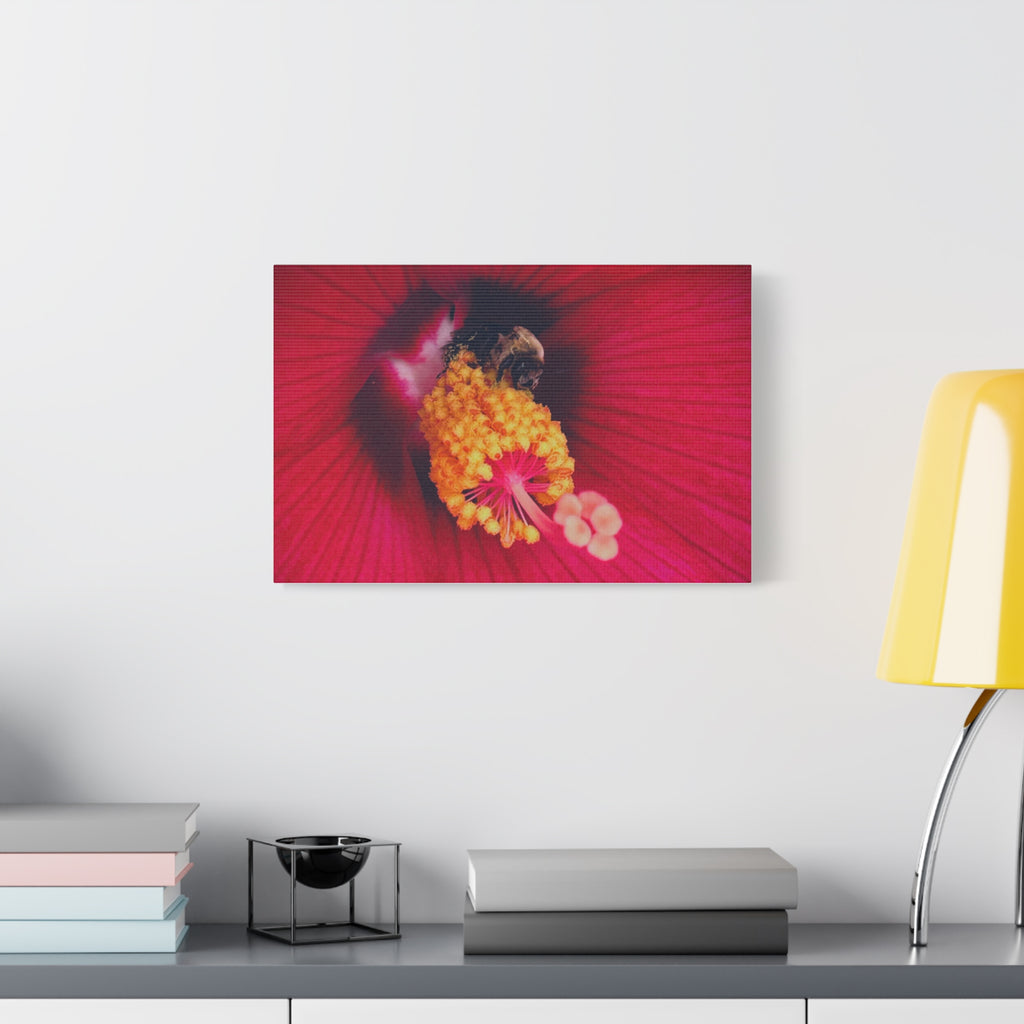 Sleeping Bee Canvas Print — Vibrant Floral Wall Art