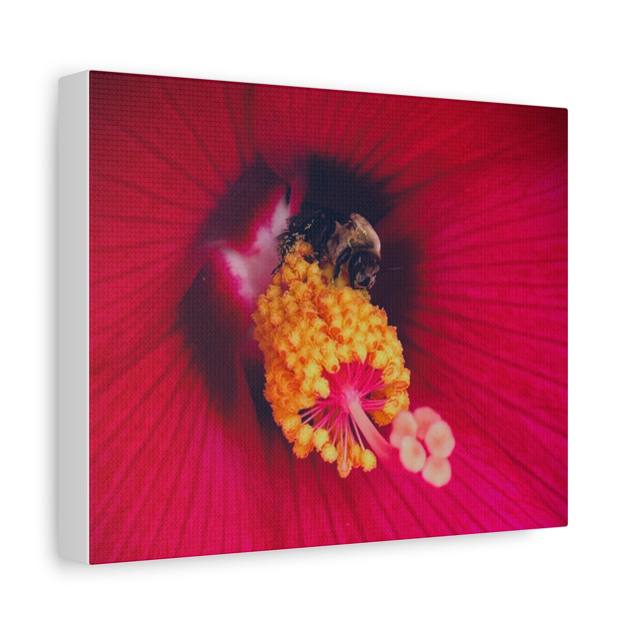 Sleeping Bee Canvas Print — Vibrant Floral Wall Art
