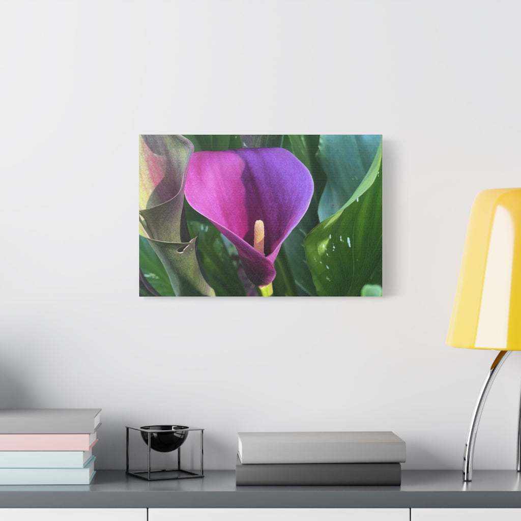 Purple Calla Lily Canvas Wall Art — Stretched Matte Floral Print