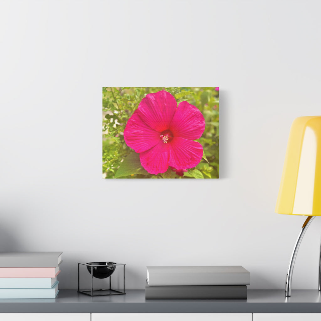 Pink Hibiscus Floral Canvas Print — Matte Stretched Wall Art