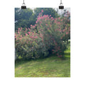 Smoke Bush Poster — Matte Vertical Floral Wall Art