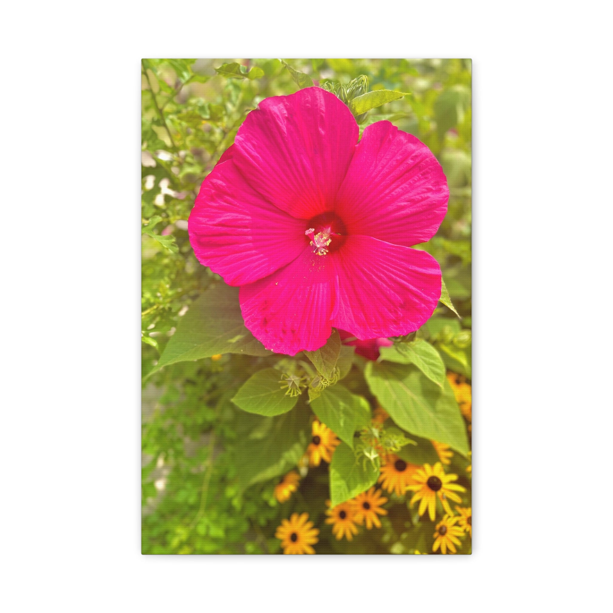 Pink Hibiscus Floral Canvas Print — Matte Stretched Wall Art