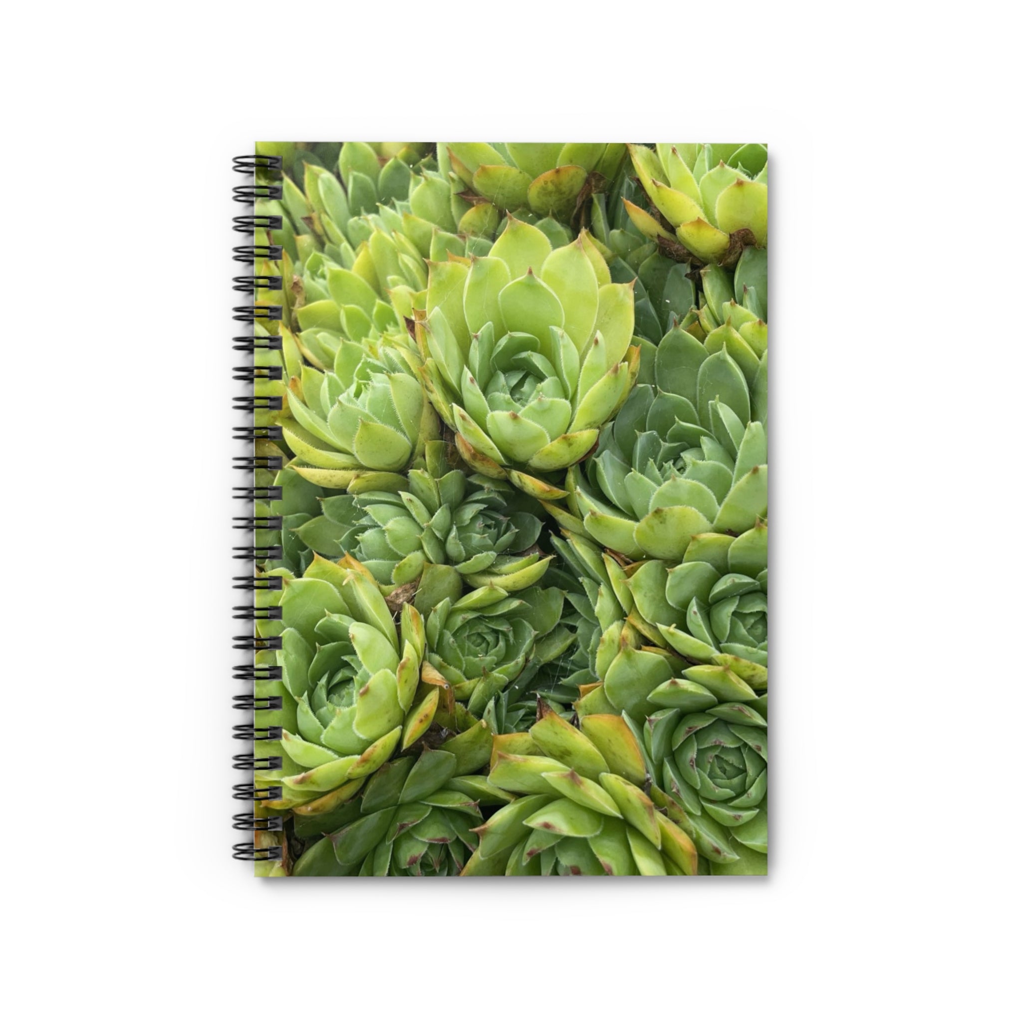 Succulent Garden Spiral Notebook — Ruled Journal for Plant Lovers