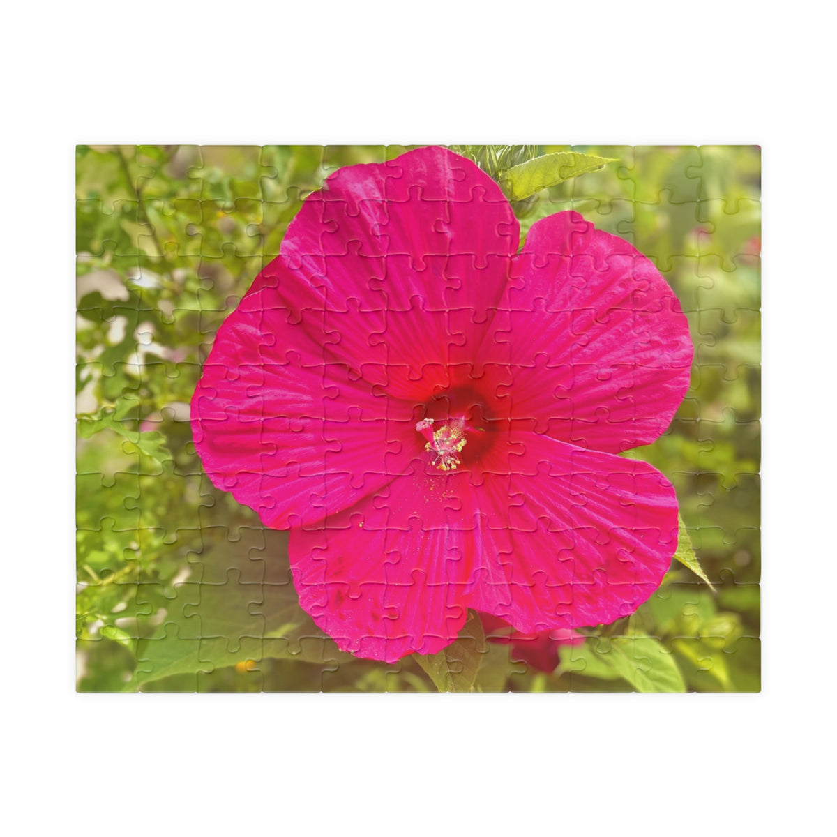 Hot Pink Hibiscus Jigsaw Puzzle