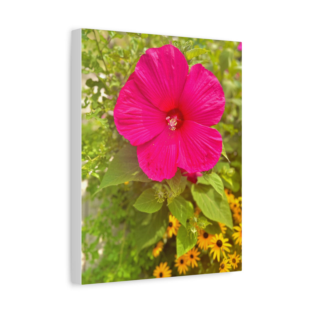 Pink Hibiscus Floral Canvas Print — Matte Stretched Wall Art
