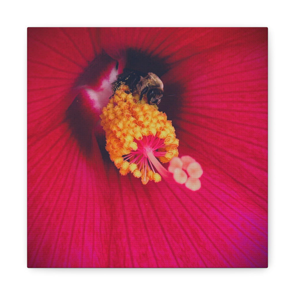 Sleeping Bee Canvas Print
