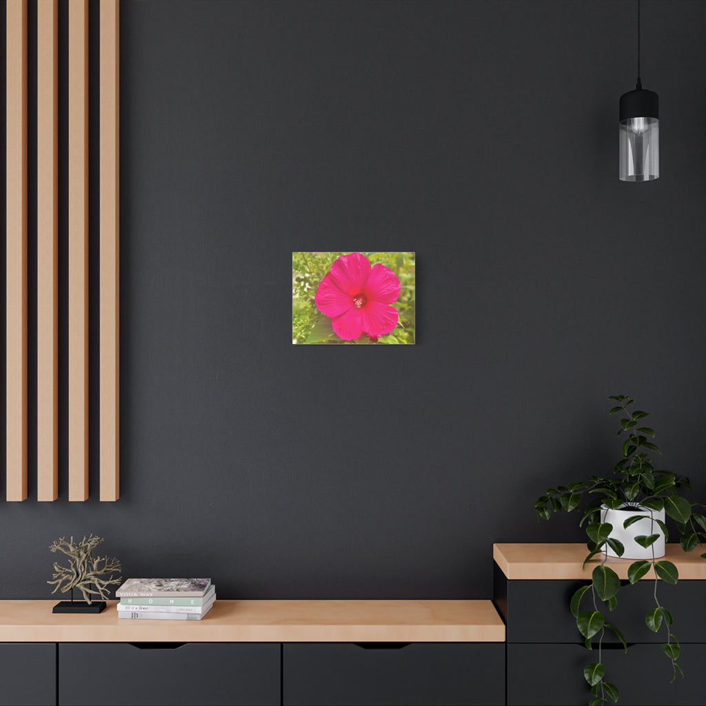 Pink Hibiscus Floral Canvas Print — Matte Stretched Wall Art