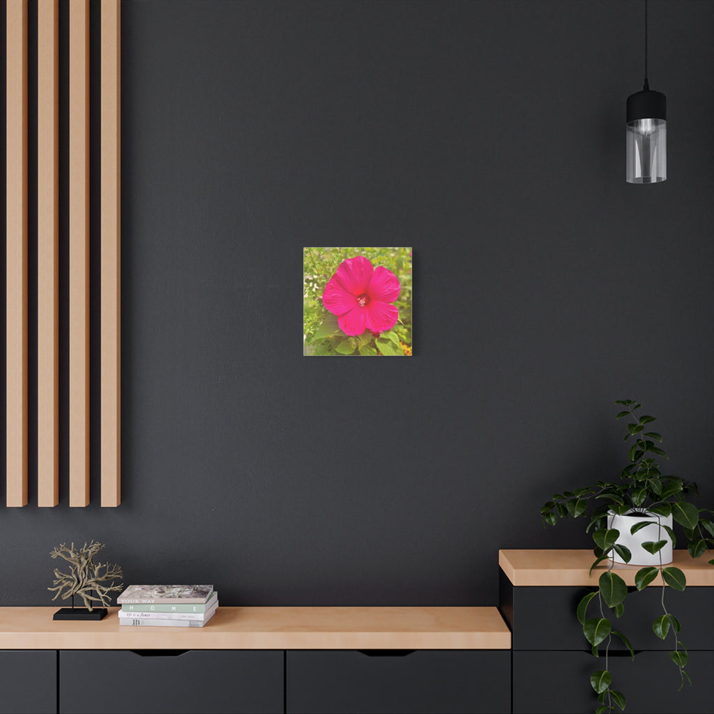 Hot Pink Hibiscus Canvas Print