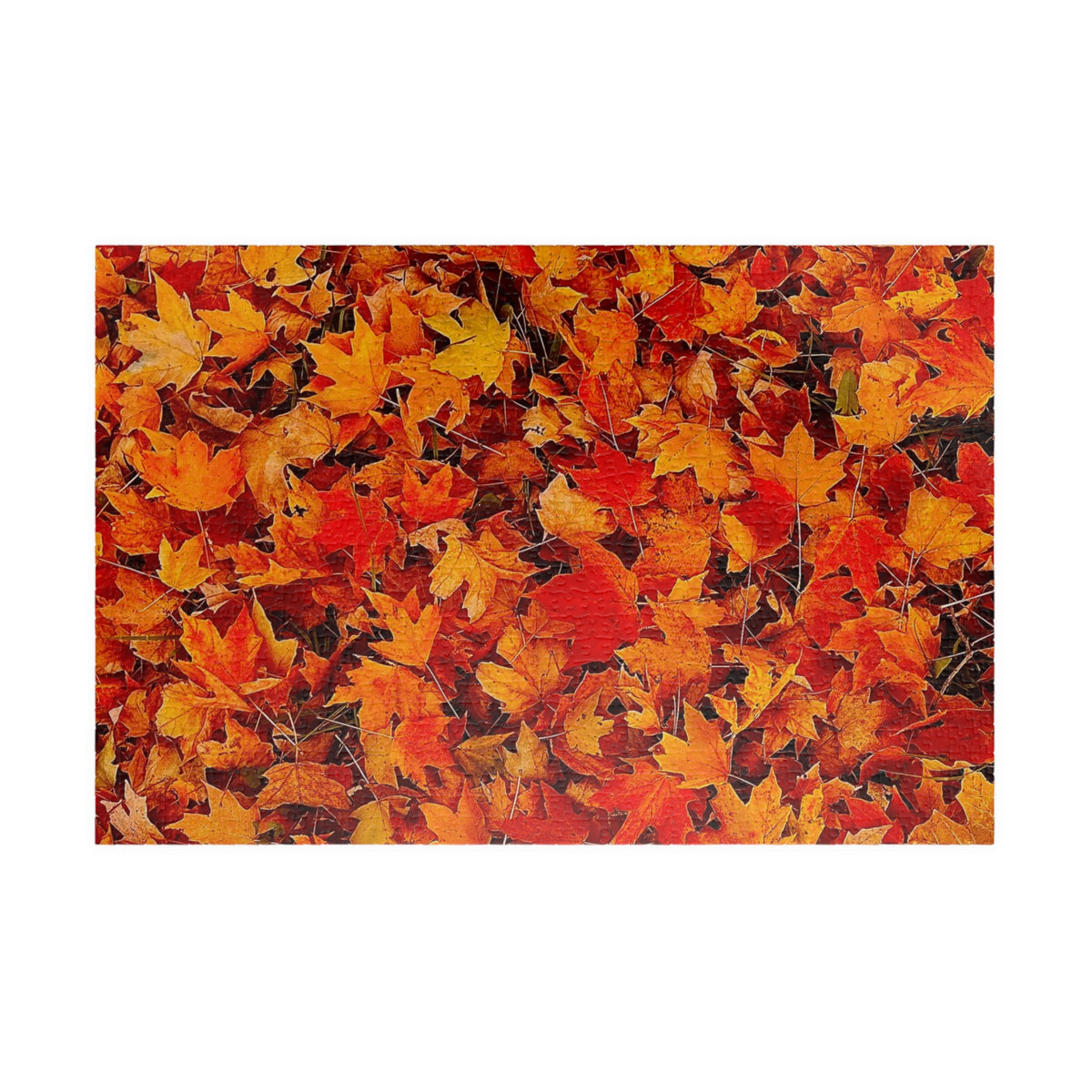 Autumn Leaves Jigsaw Puzzle