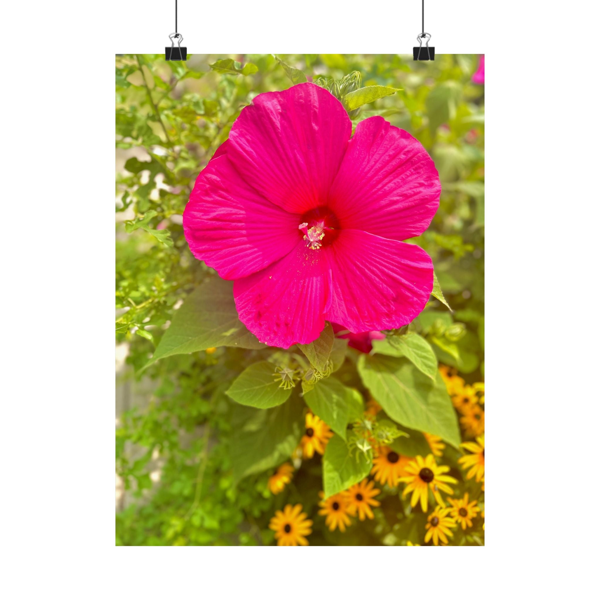 Matte Vertical Posters