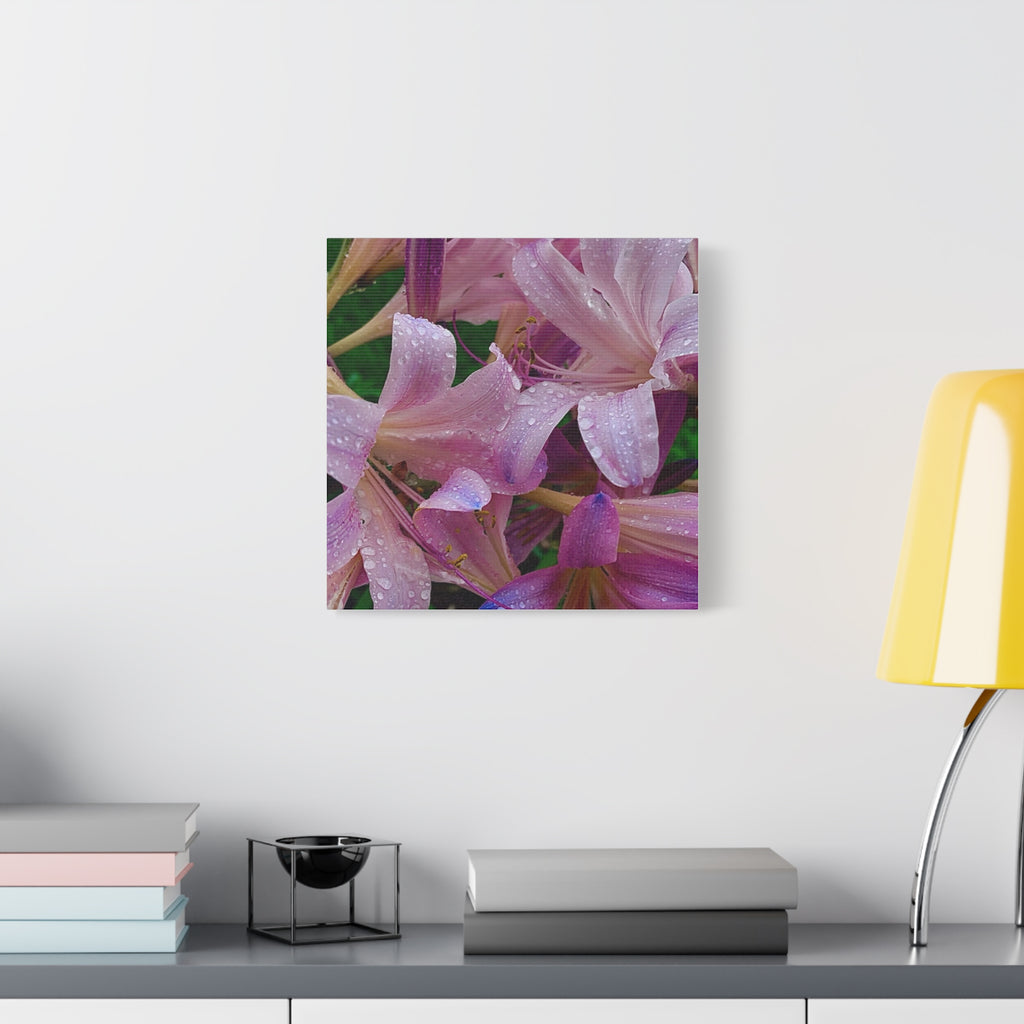 Rainy Pink Lilies Canvas Print