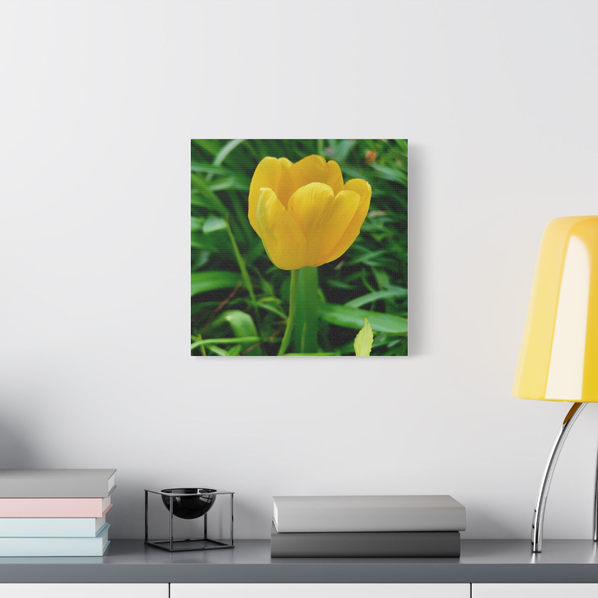 Yellow Tulip Canvas Print