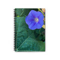 Morning Glory Spiral Notebook — Floral Ruled Journal for Notes & Gardeners