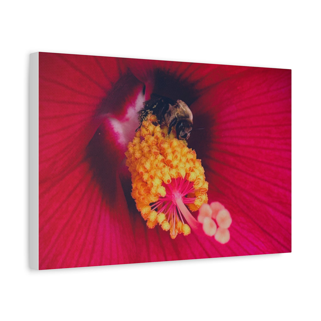 Sleeping Bee Canvas Print — Vibrant Floral Wall Art