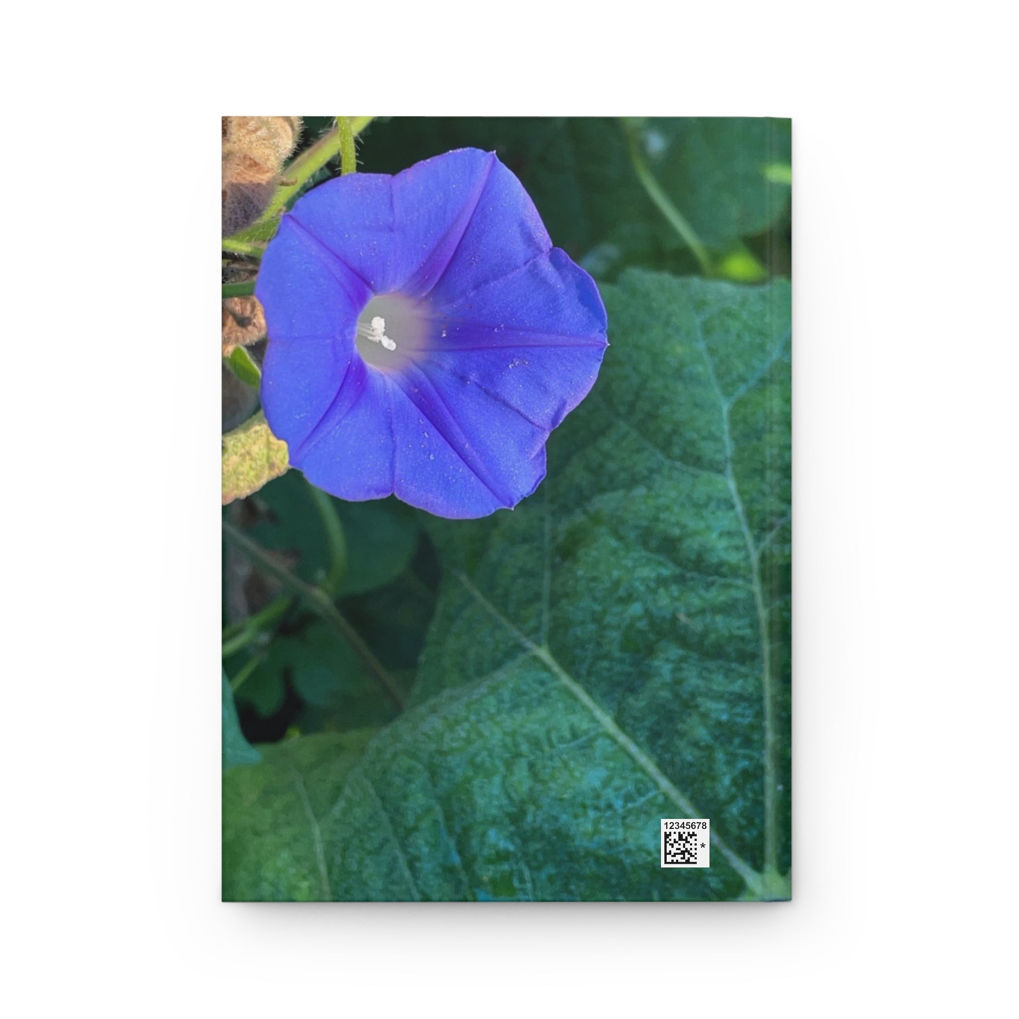 Morning Glory Hardcover Journal — Floral Nature Notebook for Gardeners & Botanical Lovers
