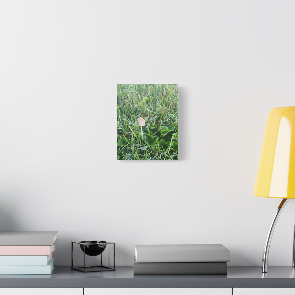 Mushroom in Grass Matte Canvas Wall Art – Nature Photography, Stretched 1.25"