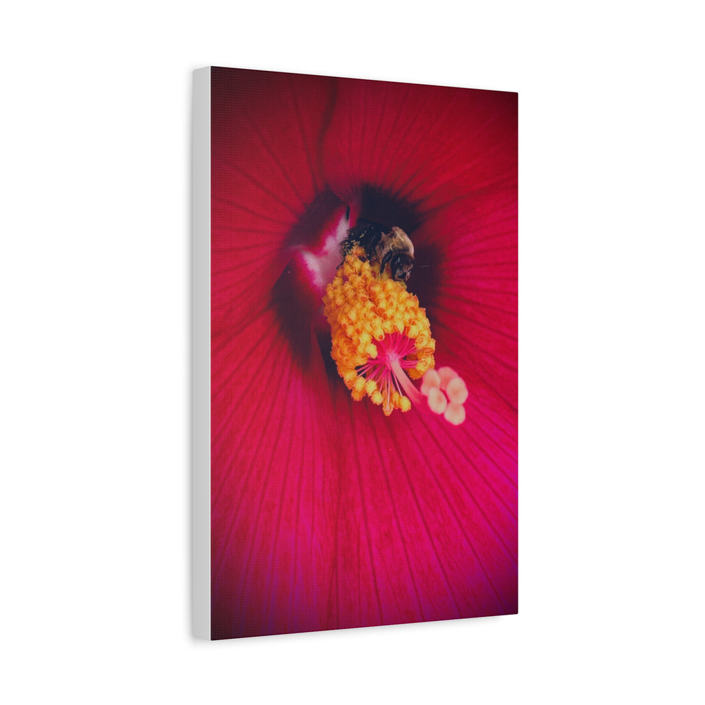 Sleeping Bee Canvas Print — Vibrant Floral Wall Art