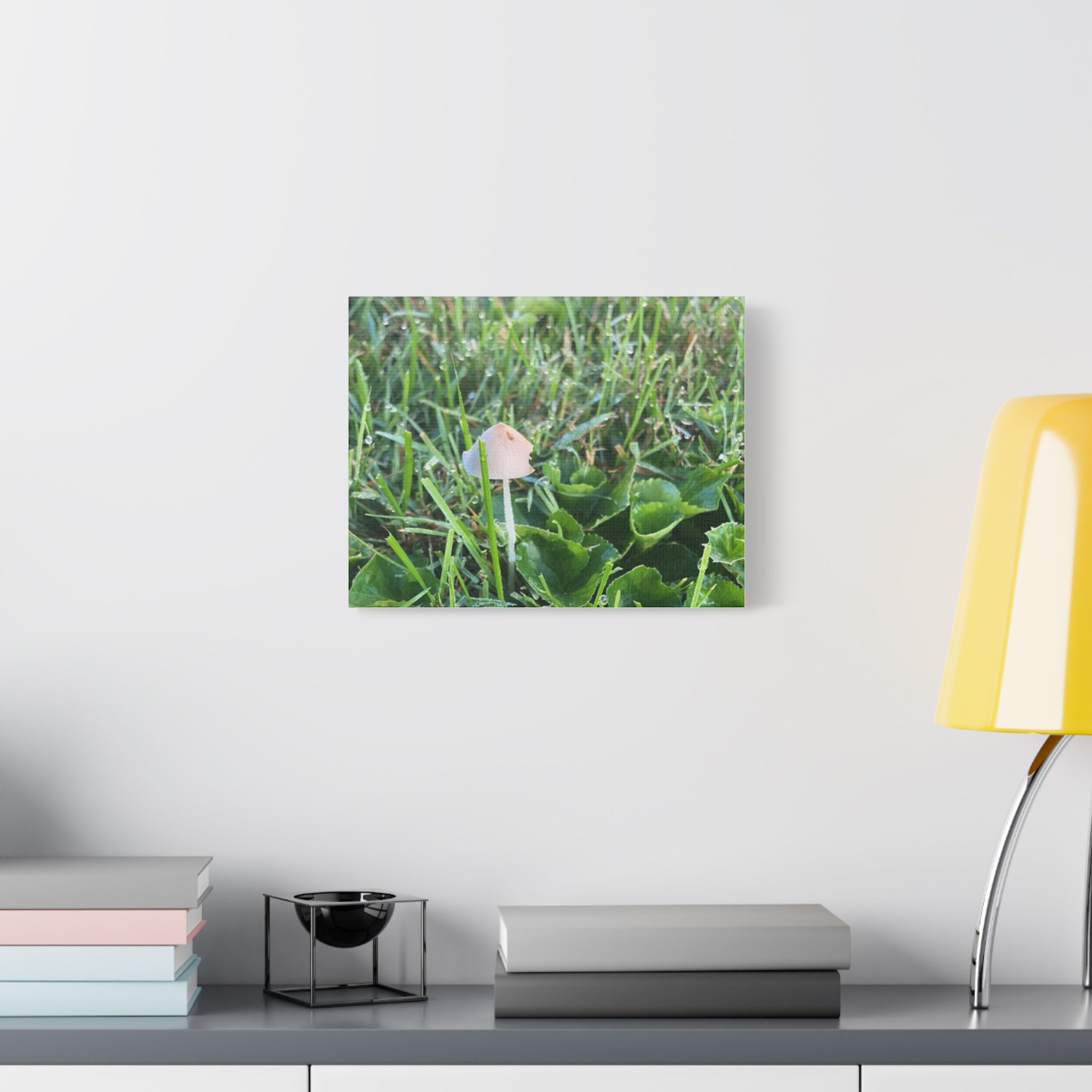Mushroom in Grass Matte Canvas Wall Art – Nature Photography, Stretched 1.25"