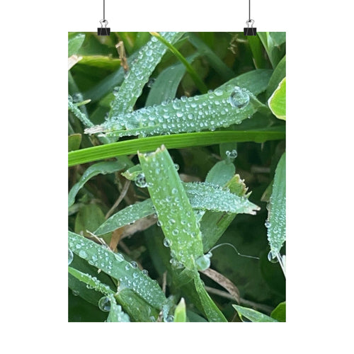 Dewy Grass Matte Poster — Vertical Nature Photography Print