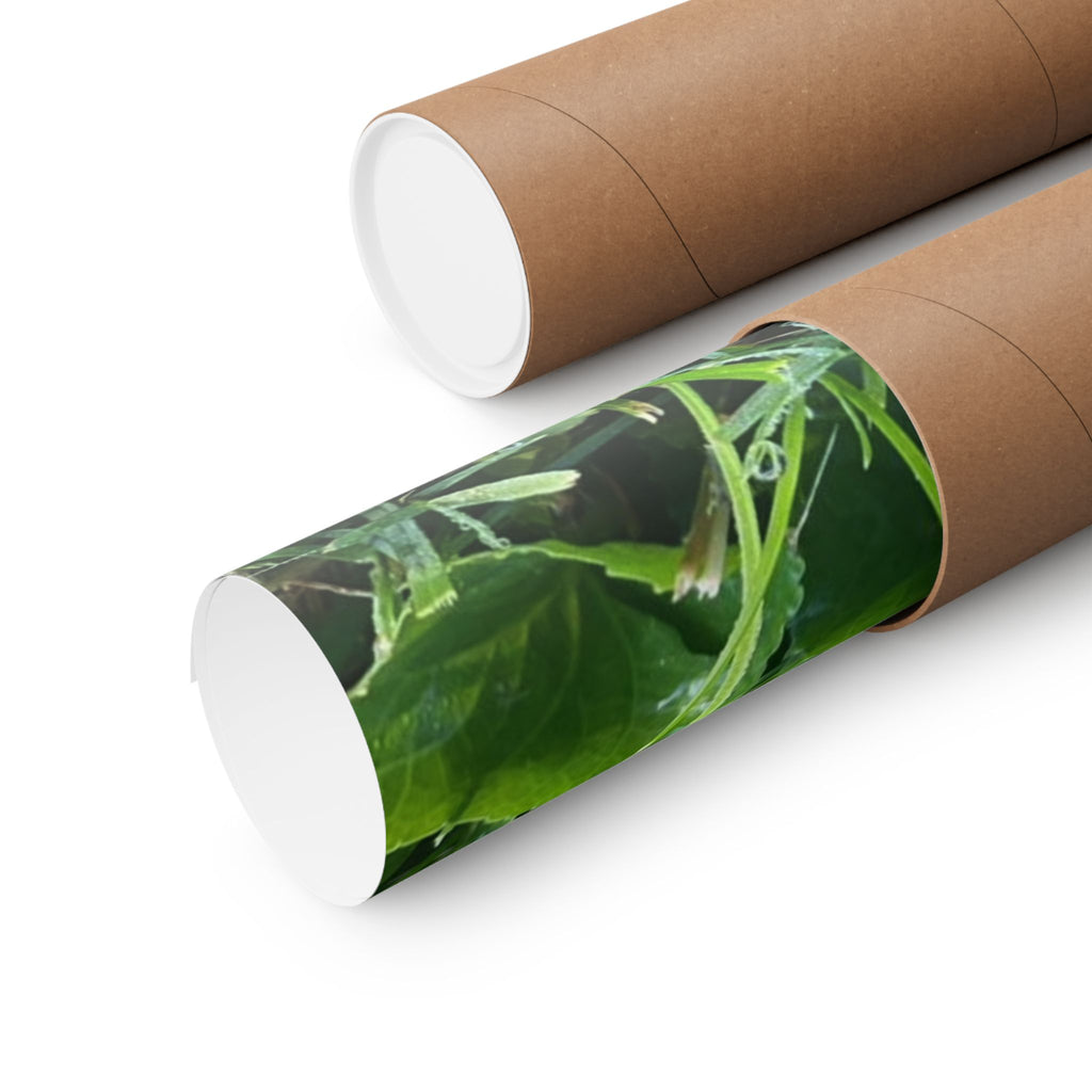 Mushroom in Grass Matte Poster — Nature Photo Vertical Wall Art