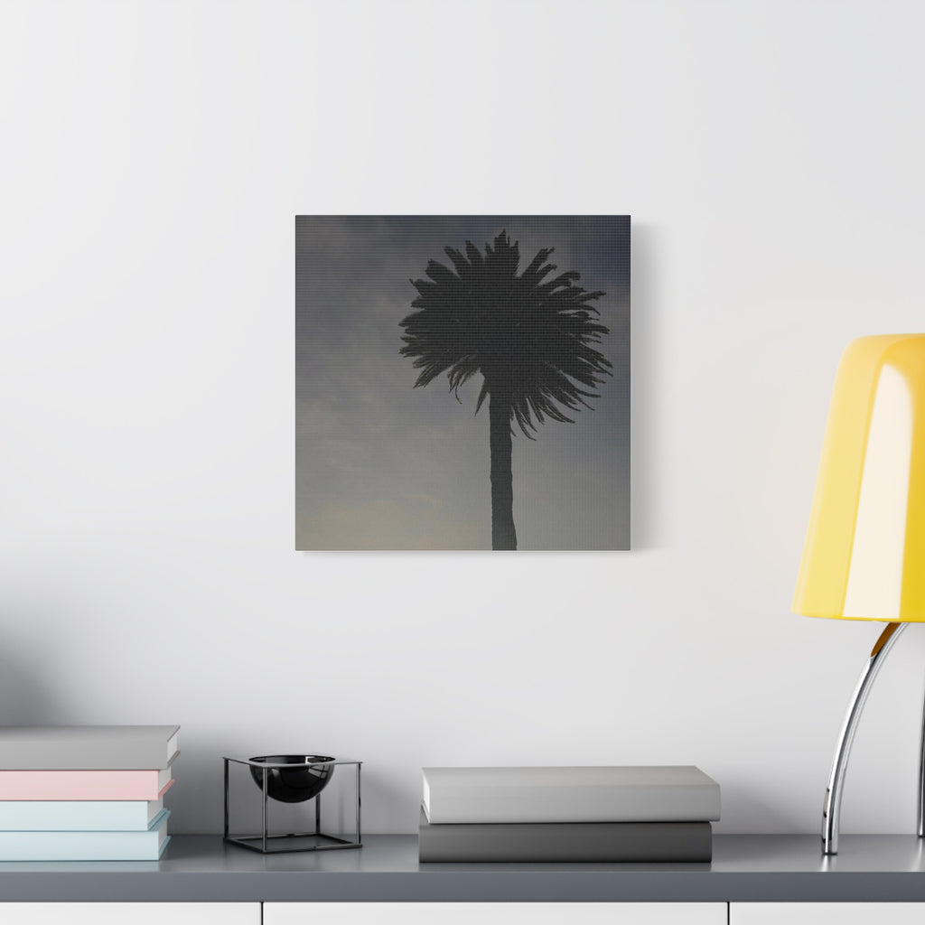 Palm Tree Canvas Print