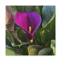 Purple Calla Lily Canvas Print