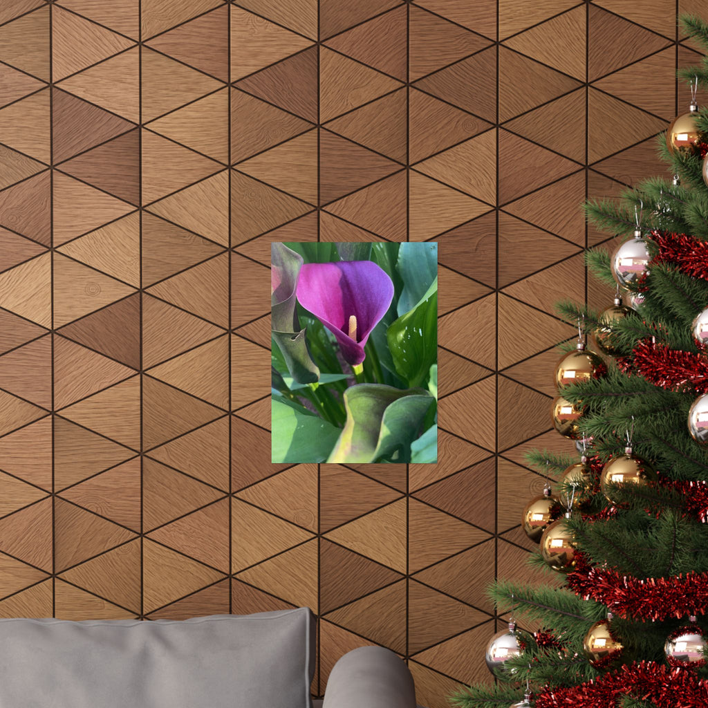 Purple Calla Lily Matte Poster — Botanical Wall Art Print