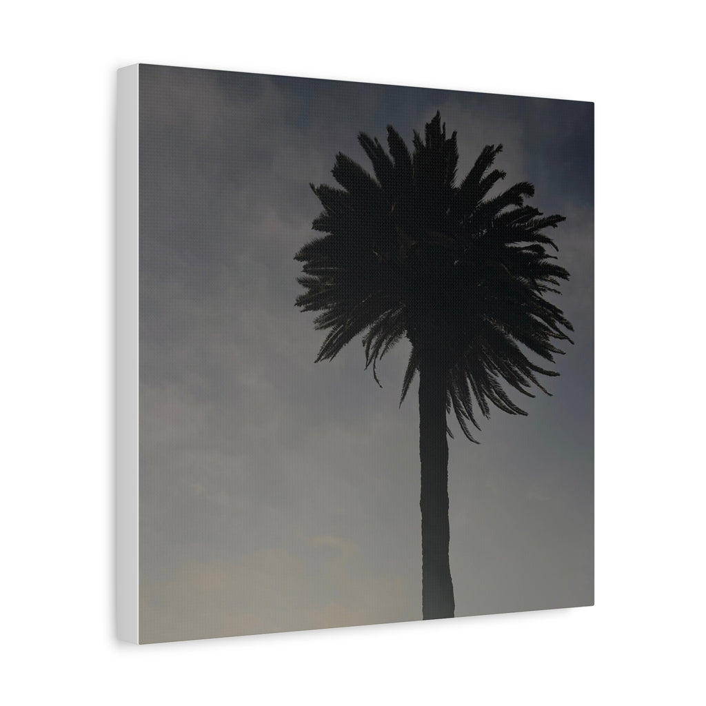 Palm Tree Canvas Print