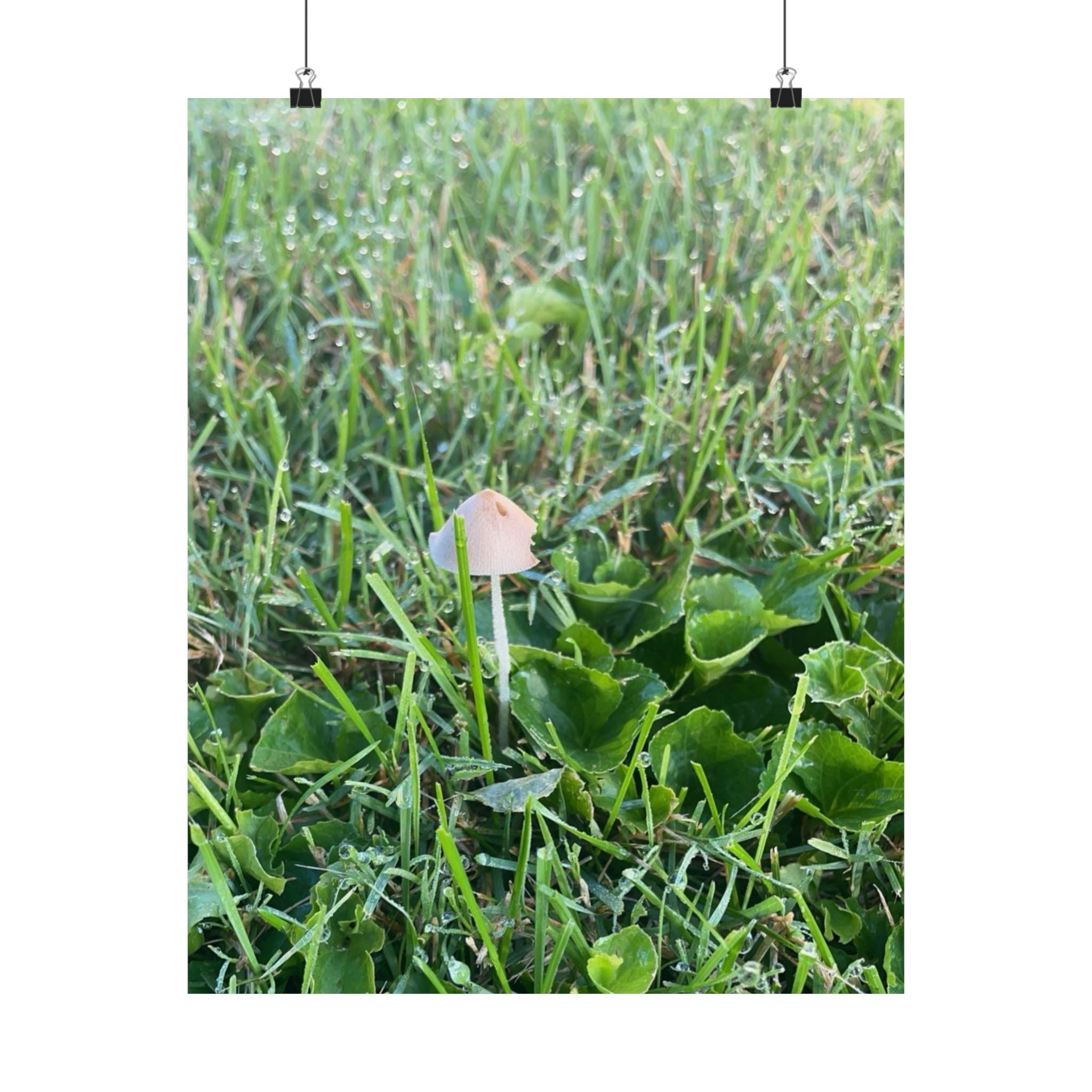 Mushroom in Grass Matte Poster — Nature Photo Vertical Wall Art