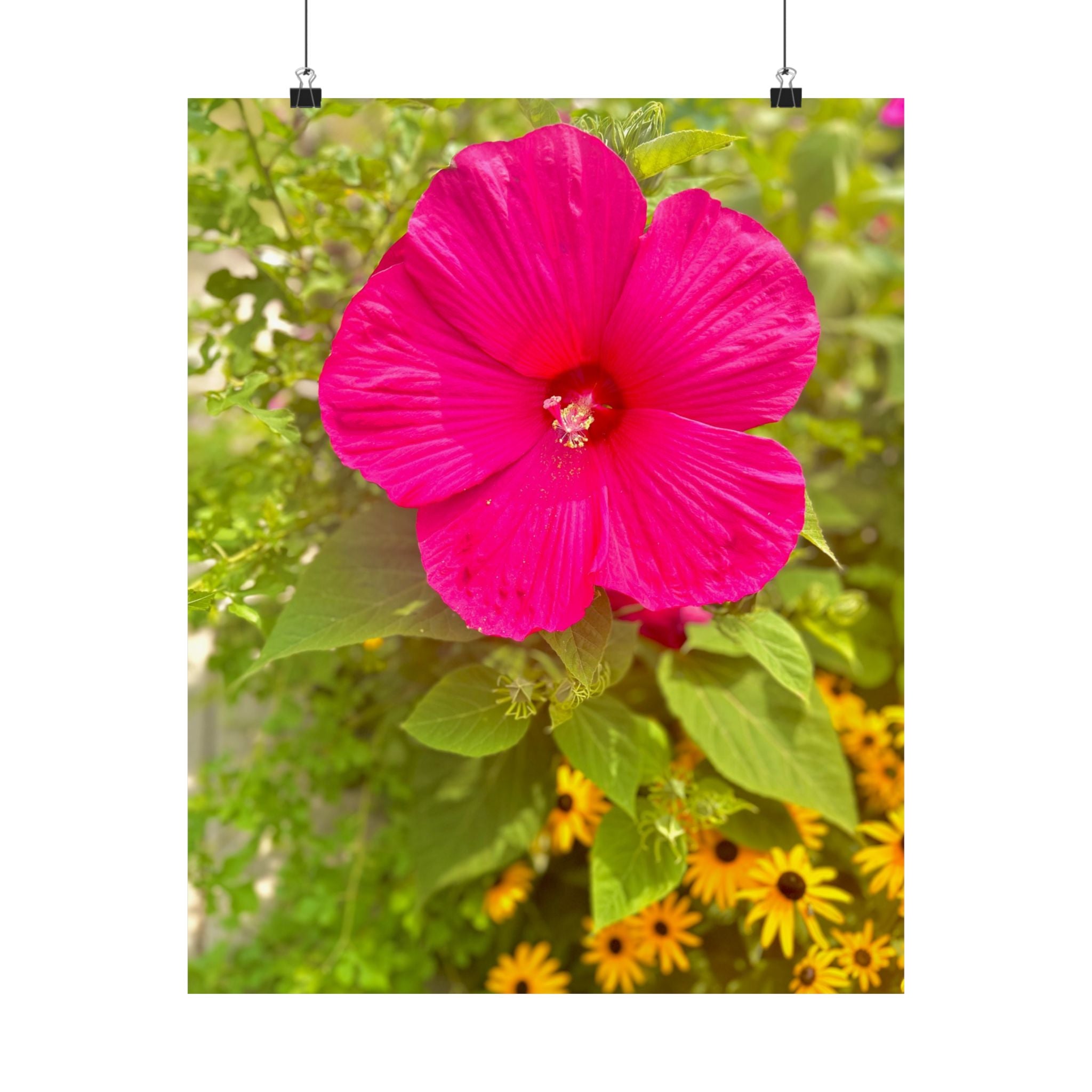Matte Vertical Posters