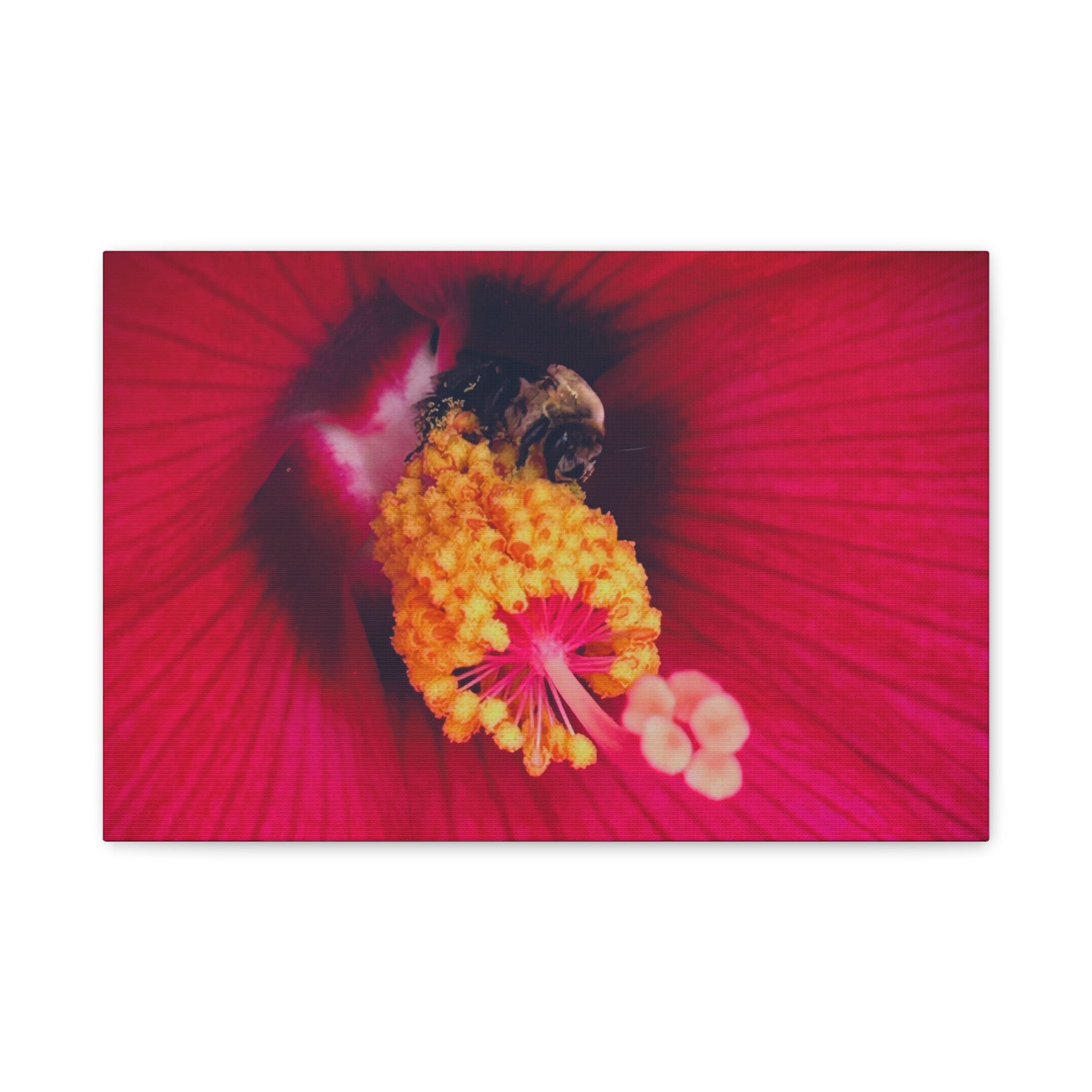 Sleeping Bee Canvas Print — Vibrant Floral Wall Art