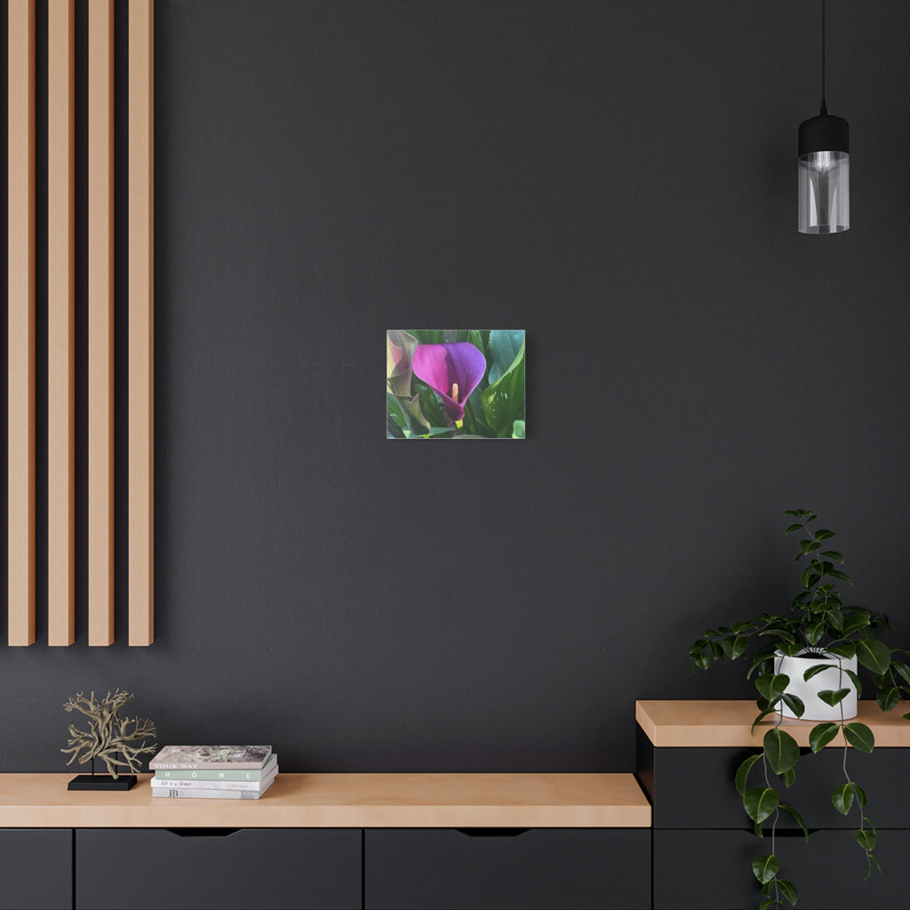 Purple Calla Lily Canvas Wall Art — Stretched Matte Floral Print