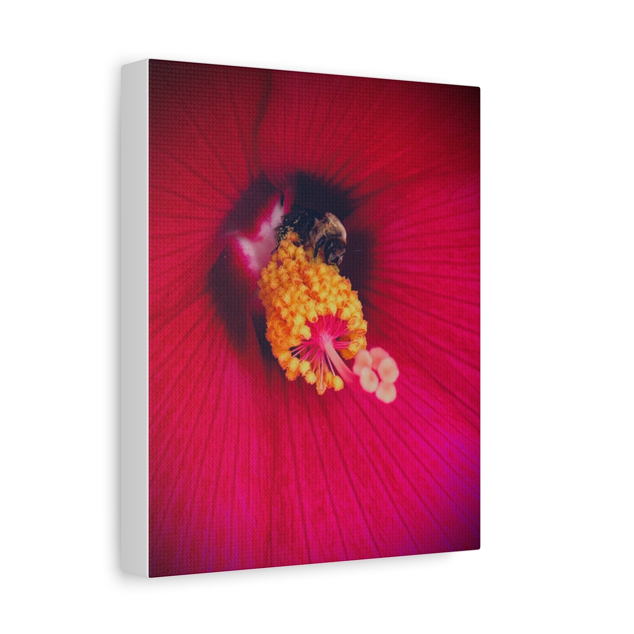 Sleeping Bee Canvas Print — Vibrant Floral Wall Art