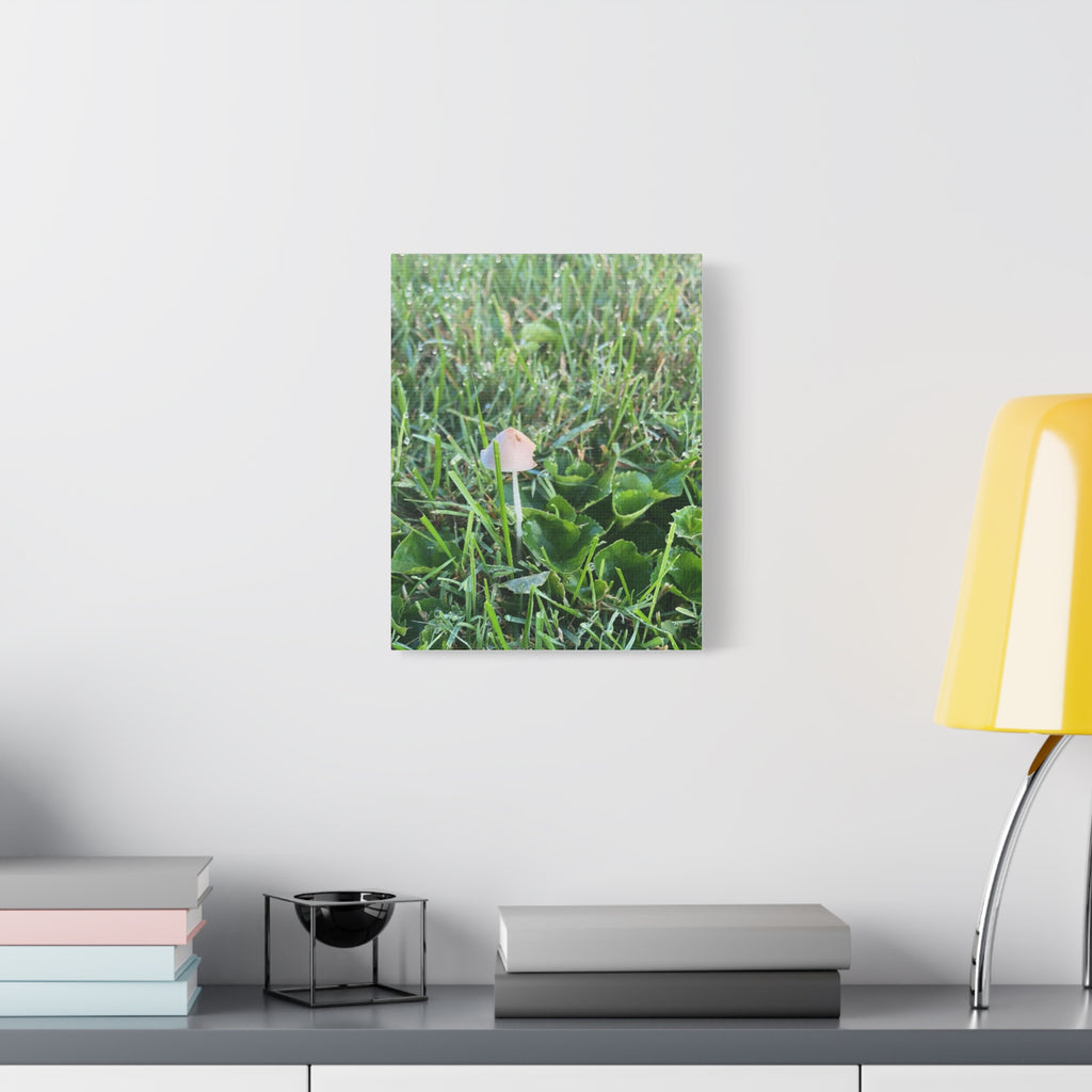 Mushroom in Grass Matte Canvas Wall Art – Nature Photography, Stretched 1.25"