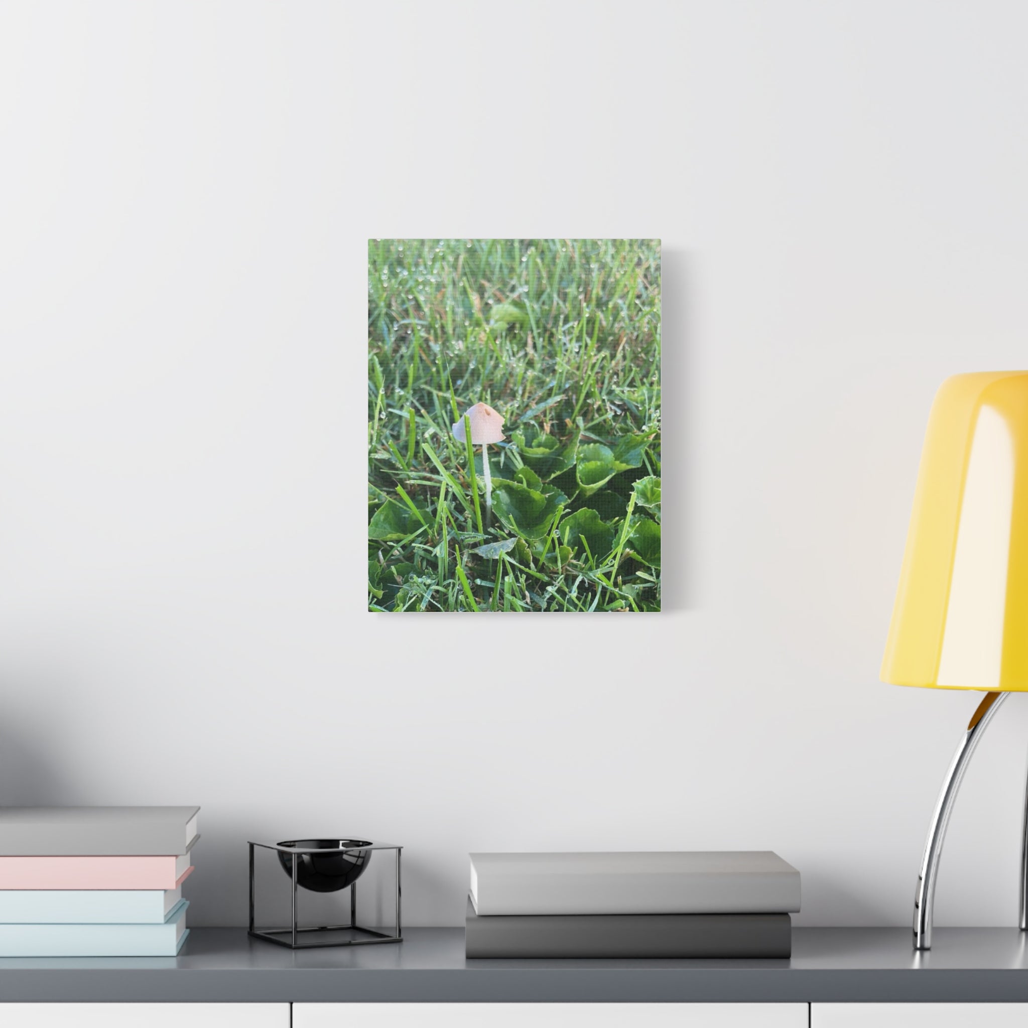 Mushroom in Grass Matte Canvas Wall Art – Nature Photography, Stretched 1.25"