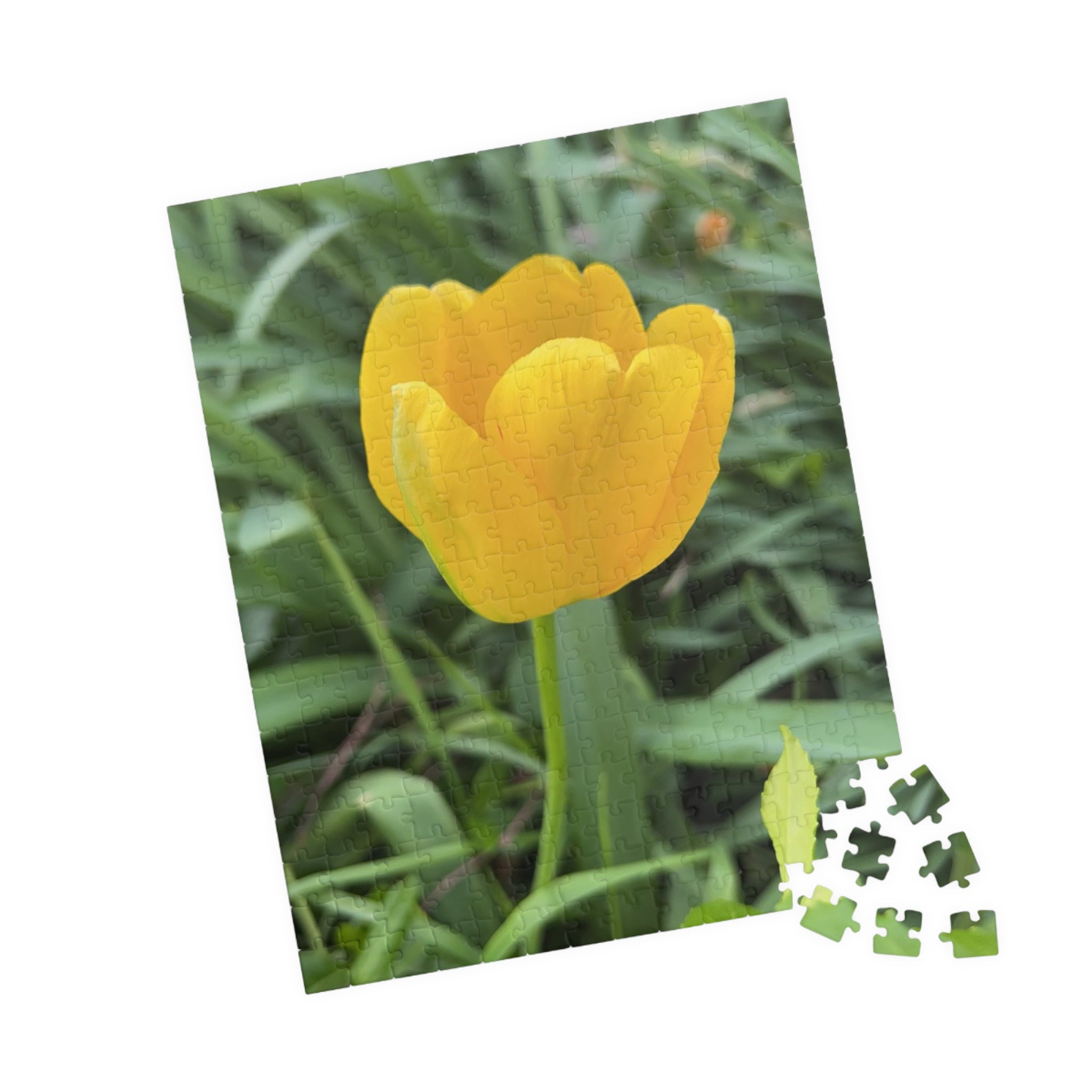 Yellow Tulip Jigsaw Puzzle — Floral 110/252/520/1014-Piece Puzzle