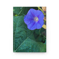 Morning Glory Hardcover Journal — Floral Nature Notebook for Gardeners & Botanical Lovers