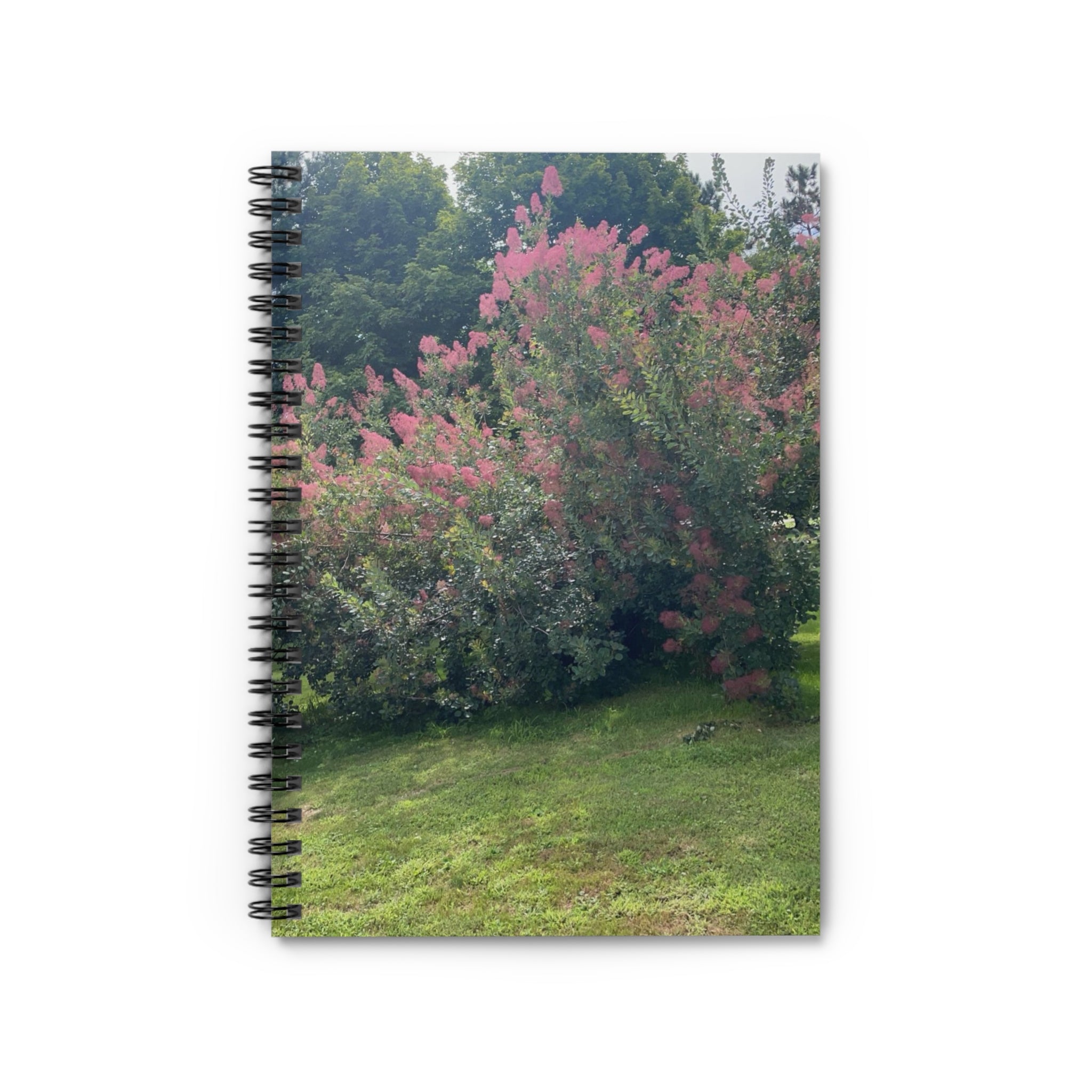Pink Smoke Bush Spiral Notebook — Ruled Lined Journal for Notes & Nature Lovers