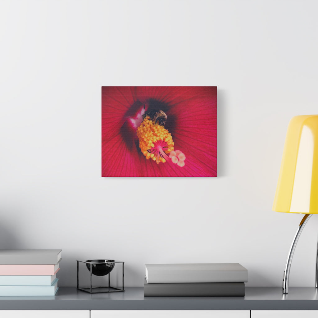 Sleeping Bee Canvas Print — Vibrant Floral Wall Art