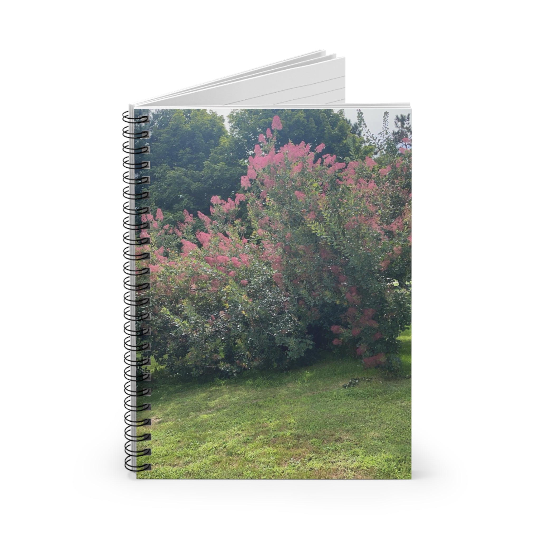 Pink Smoke Bush Spiral Notebook — Ruled Lined Journal for Notes & Nature Lovers