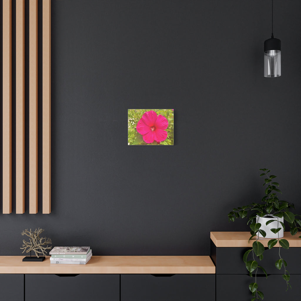 Pink Hibiscus Floral Canvas Print — Matte Stretched Wall Art
