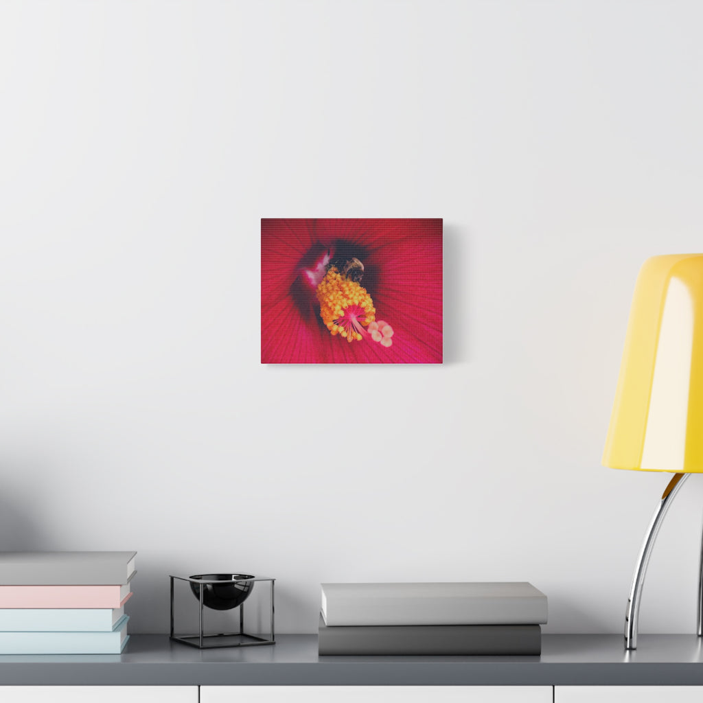 Sleeping Bee Canvas Print — Vibrant Floral Wall Art