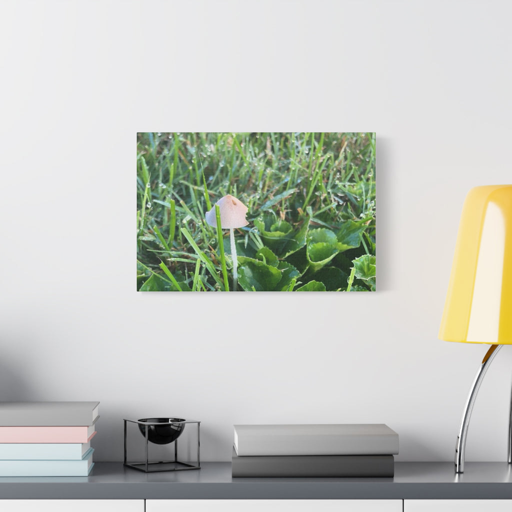 Mushroom in Grass Matte Canvas Wall Art – Nature Photography, Stretched 1.25"