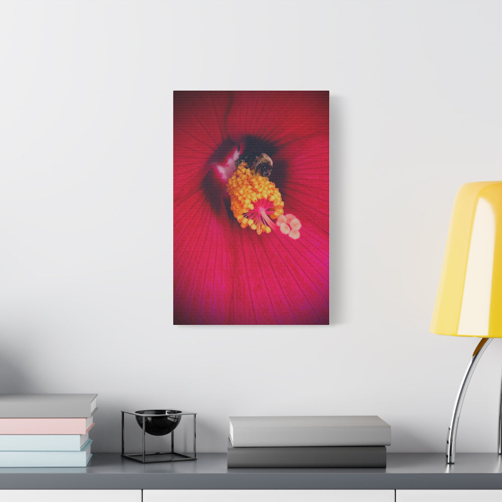 Sleeping Bee Canvas Print — Vibrant Floral Wall Art
