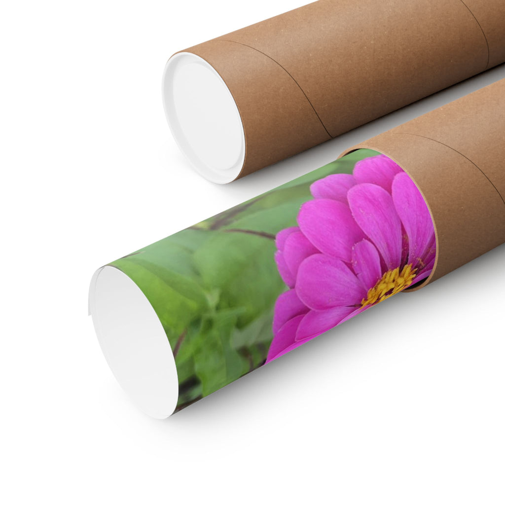 Pink Zinnia Floral Poster — Matte Vertical Flower Wall Art