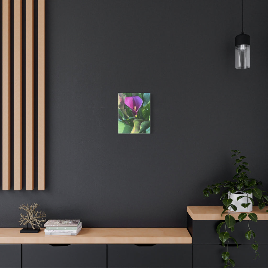 Purple Calla Lily Canvas Wall Art — Stretched Matte Floral Print