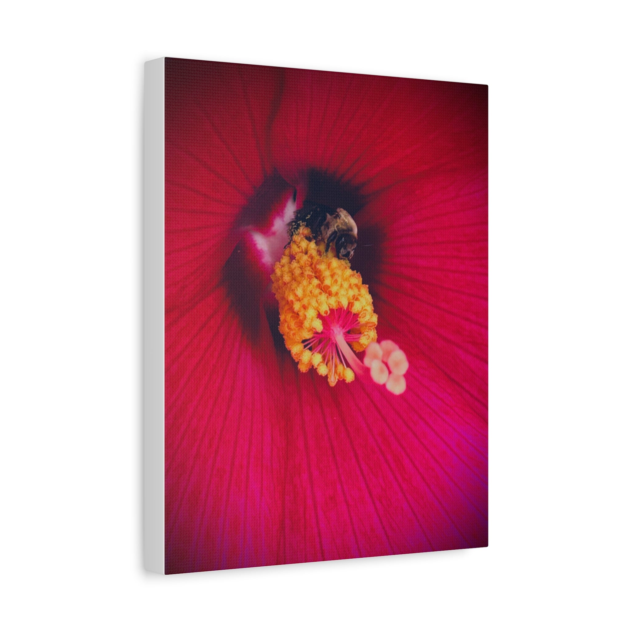 Sleeping Bee Canvas Print — Vibrant Floral Wall Art