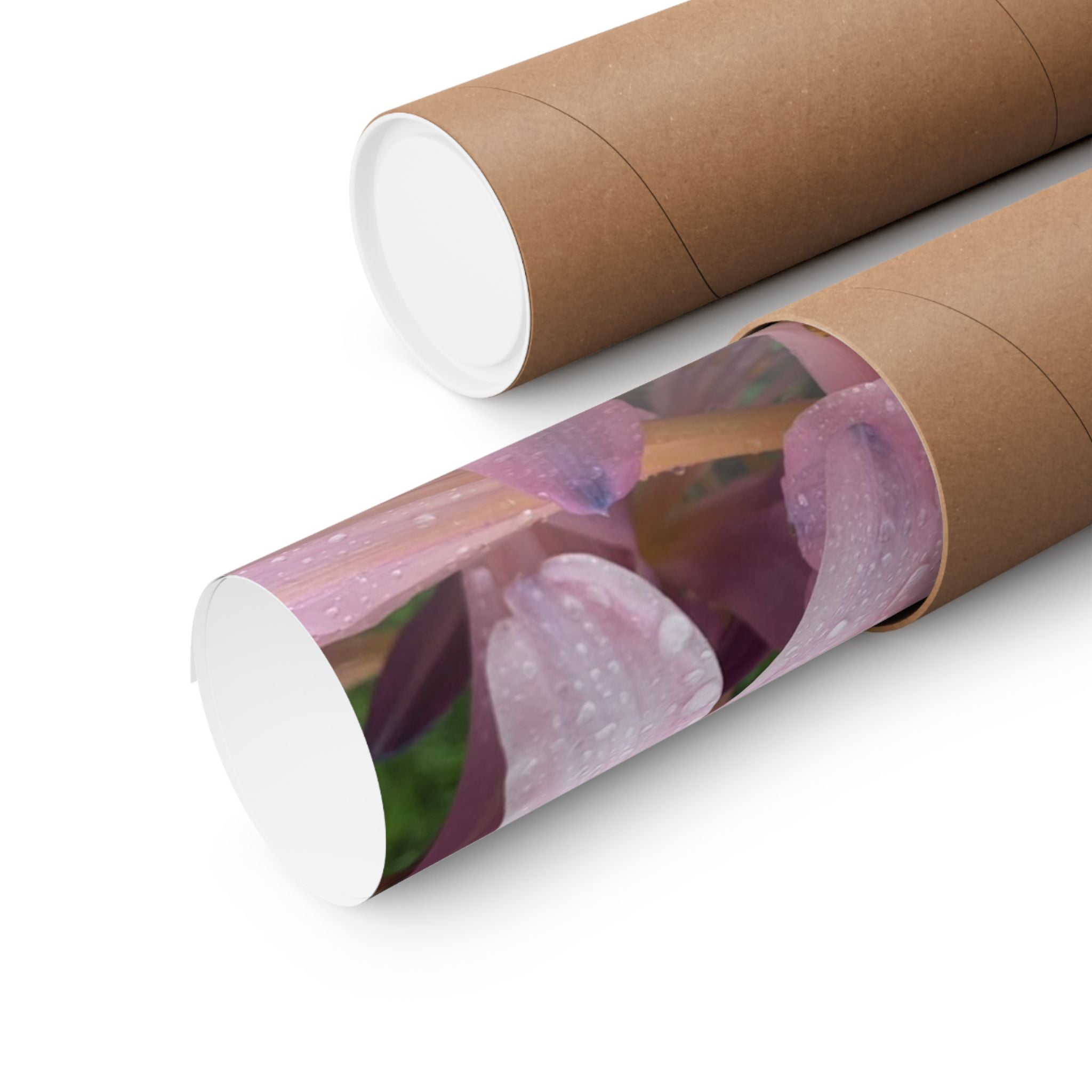 Pink Rain Lily Photo Poster — Matte Vertical Floral Wall Art