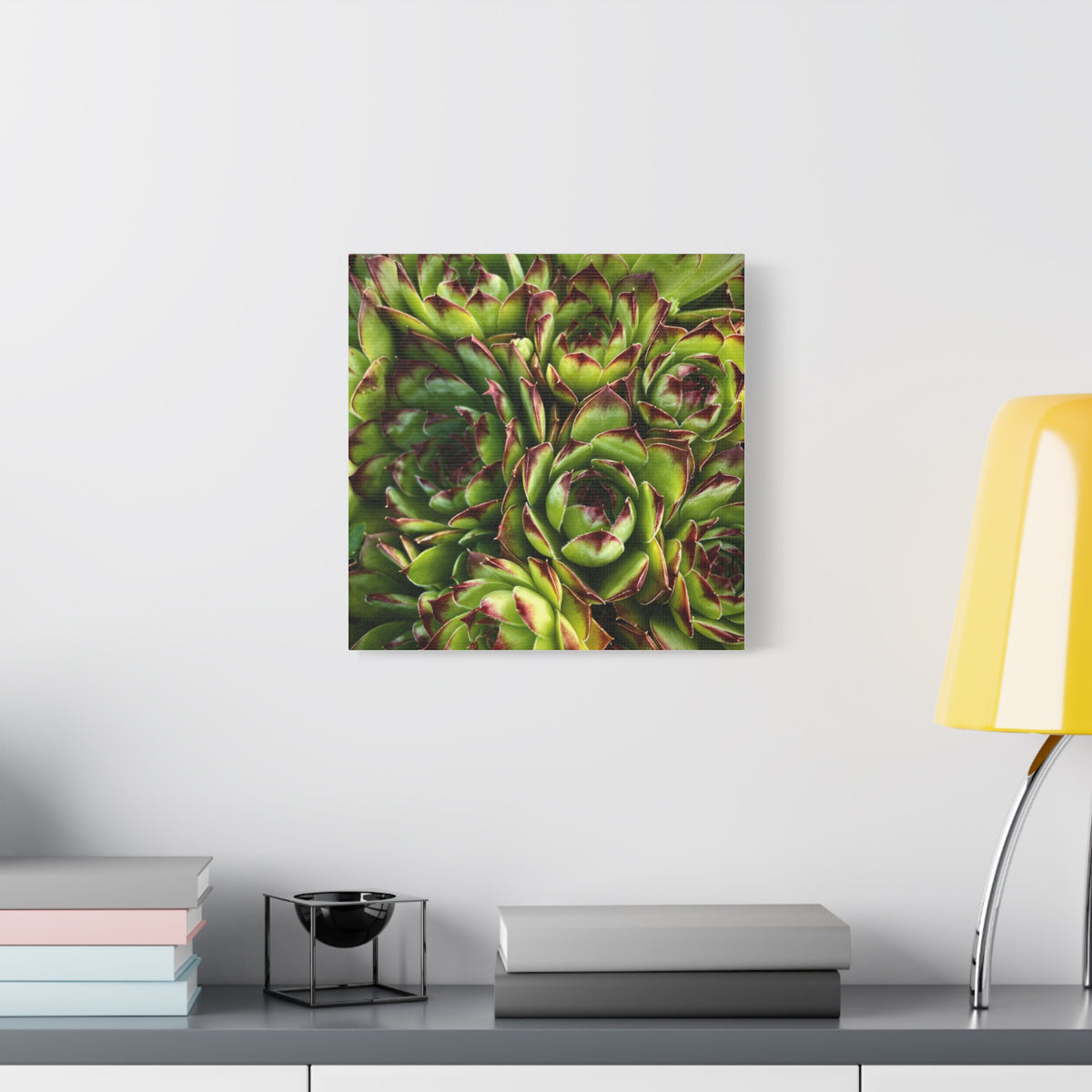 Succulent Garden Canvas Print